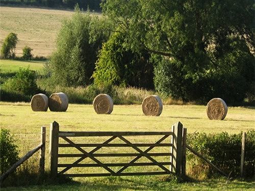 Tabsfield Bed and Breakfast Farningham Buitenkant foto